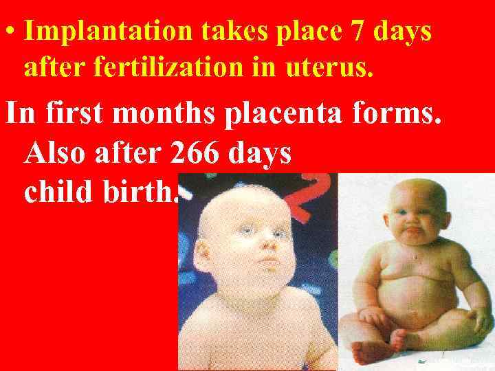  • Implantation takes place 7 days after fertilization in uterus. In first months