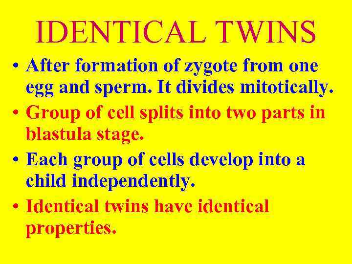 IDENTICAL TWINS • After formation of zygote from one egg and sperm. It divides