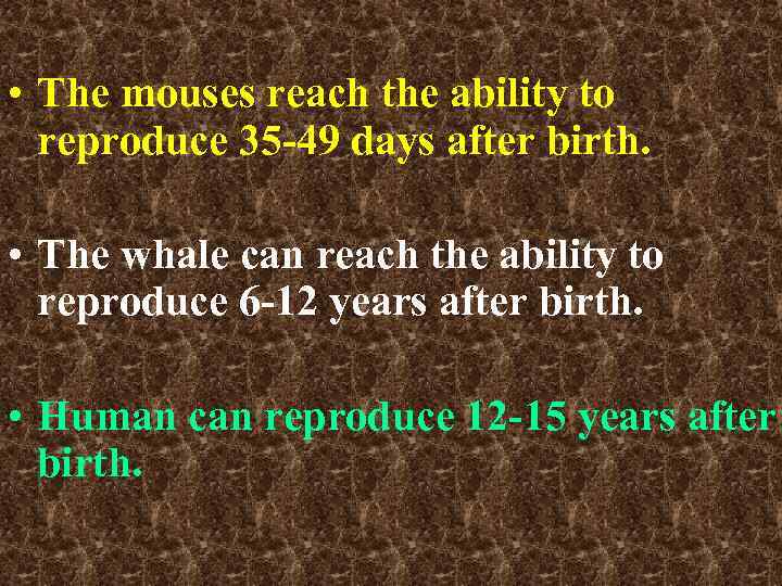  • The mouses reach the ability to reproduce 35 -49 days after birth.