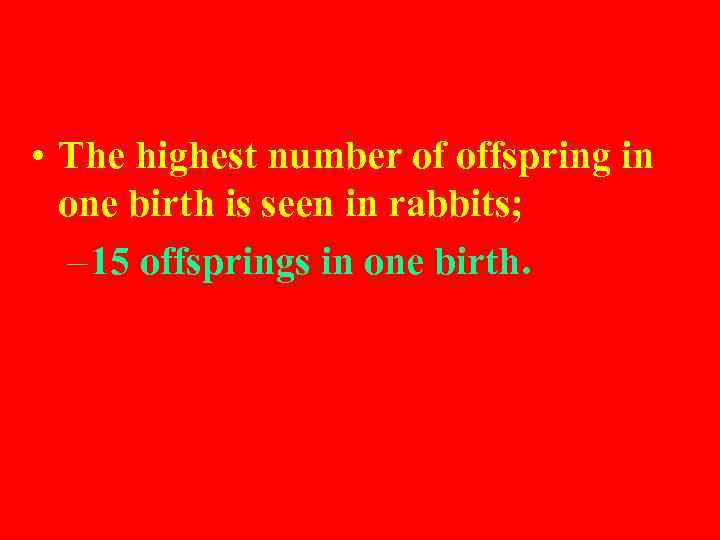  • The highest number of offspring in one birth is seen in rabbits;