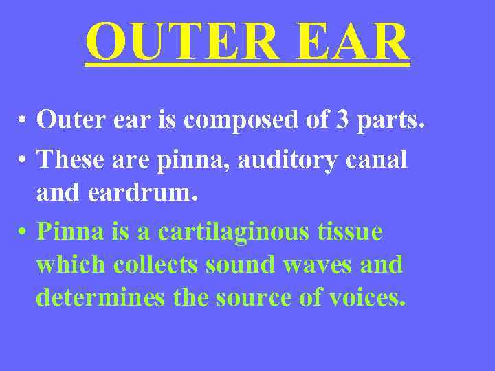 OUTER EAR • Outer ear is composed of 3 parts. • These are pinna,