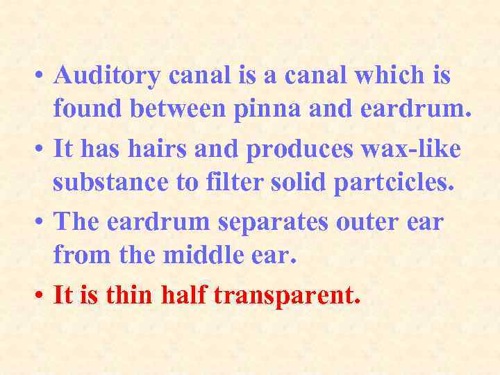  • Auditory canal is a canal which is found between pinna and eardrum.