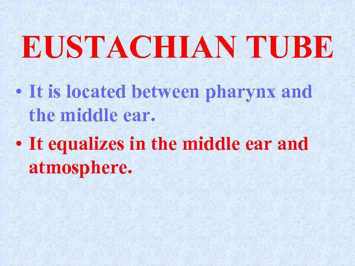 EUSTACHIAN TUBE • It is located between pharynx and the middle ear. • It