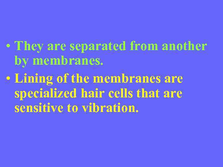  • They are separated from another by membranes. • Lining of the membranes