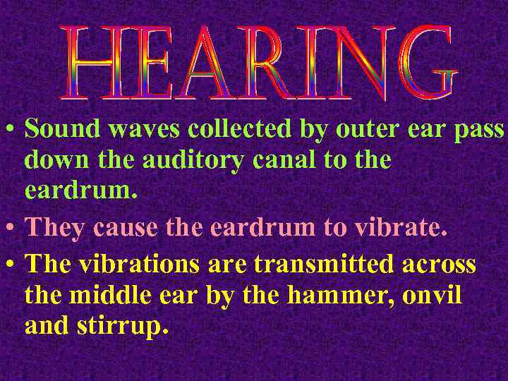  • Sound waves collected by outer ear pass down the auditory canal to