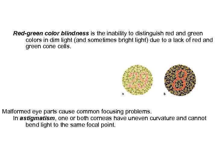 Red-green color blindness is the inability to distinguish red and green colors in dim