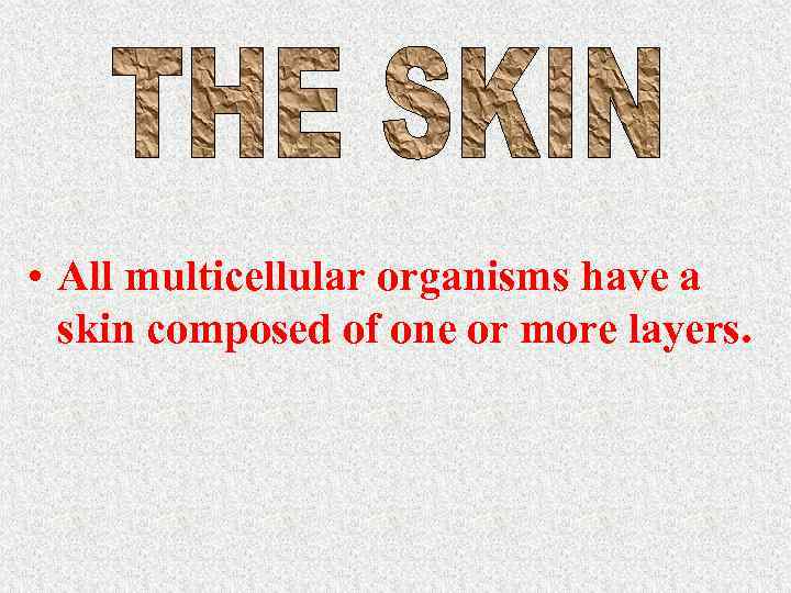  • All multicellular organisms have a skin composed of one or more layers.
