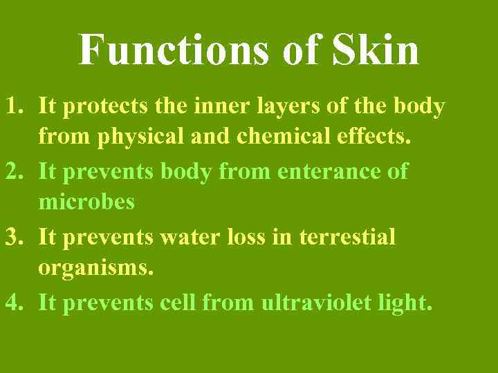 Functions of Skin 1. It protects the inner layers of the body from physical