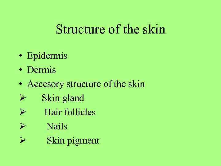 Structure of the skin • Epidermis • Dermis • Accesory structure of the skin