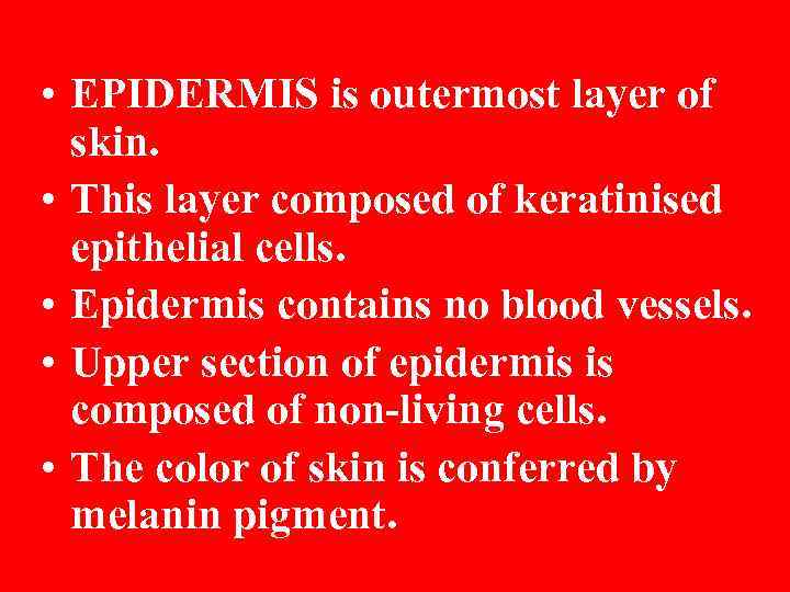 • EPIDERMIS is outermost layer of skin. • This layer composed of keratinised