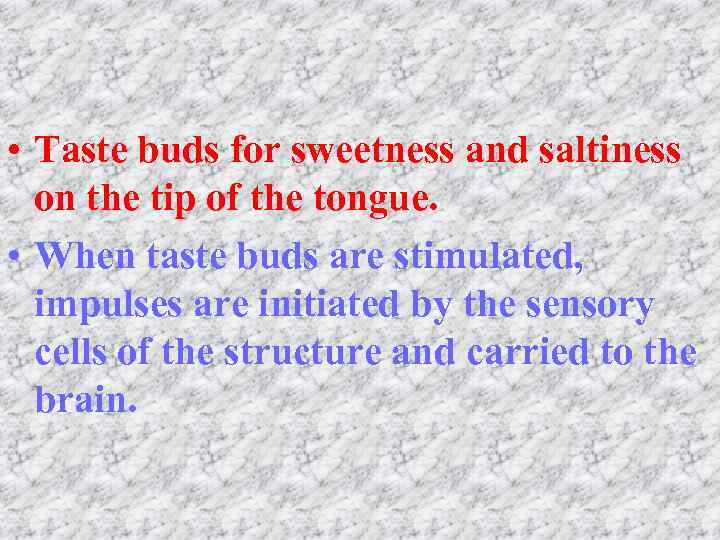  • Taste buds for sweetness and saltiness on the tip of the tongue.