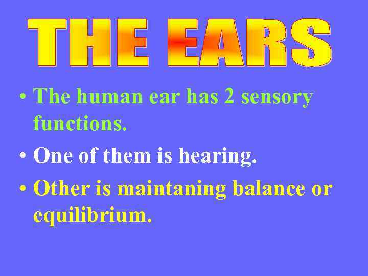  • The human ear has 2 sensory functions. • One of them is