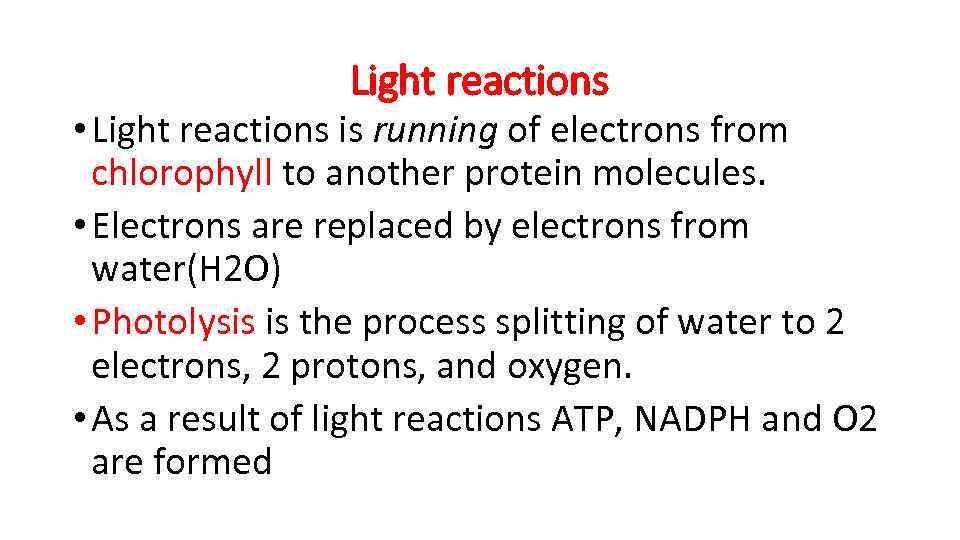 Light reactions • Light reactions is running of electrons from chlorophyll to another protein