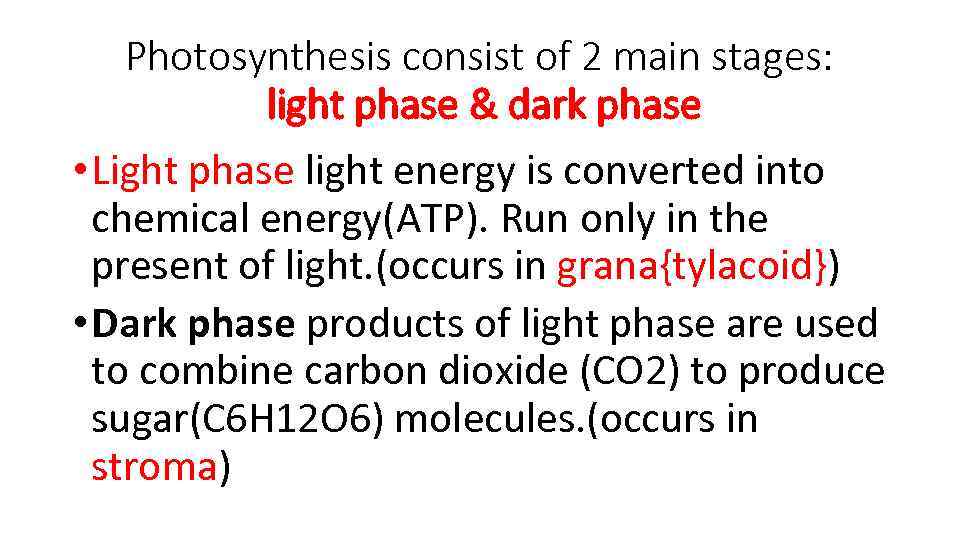 Photosynthesis consist of 2 main stages: light phase & dark phase • Light phase