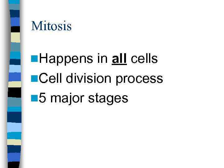 Mitosis n. Happens in all cells n. Cell division process n 5 major stages