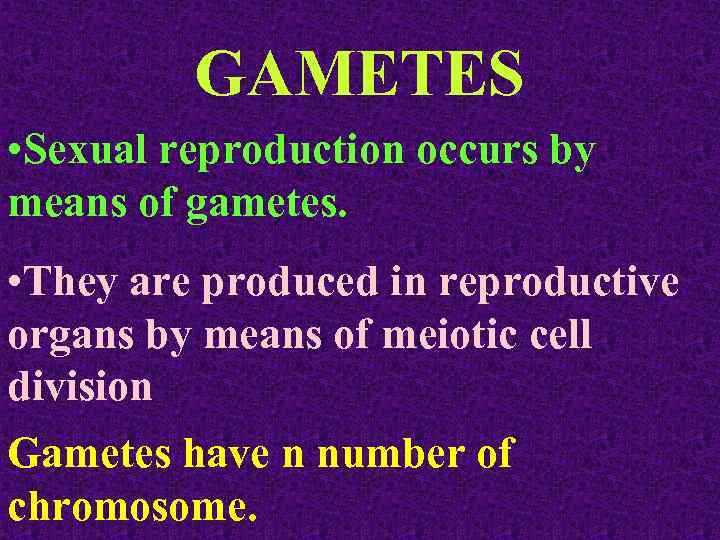 GAMETES • Sexual reproduction occurs by means of gametes. • They are produced in