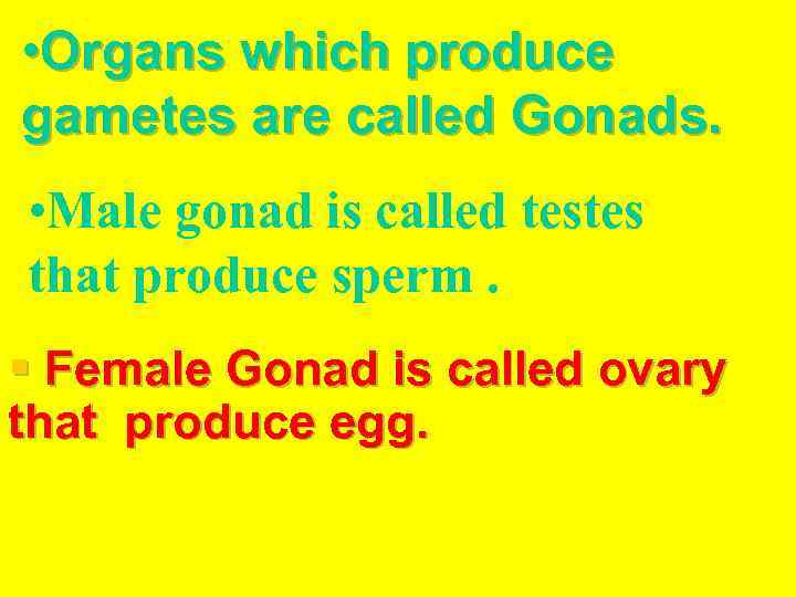  • Organs which produce gametes are called Gonads. • Male gonad is called
