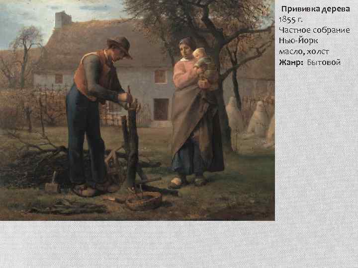 Прививка дерева 1855 г. Частное собрание Нью-Йорк масло, холст Жанр: Бытовой 