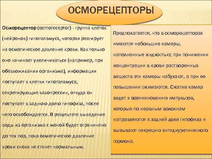 ОСМОРЕЦЕПТОРЫ Осморецептор (osmoreceptor) - группа клеток (нейронов) гипоталамуса, которая реагирует на осмотическое давление крови.