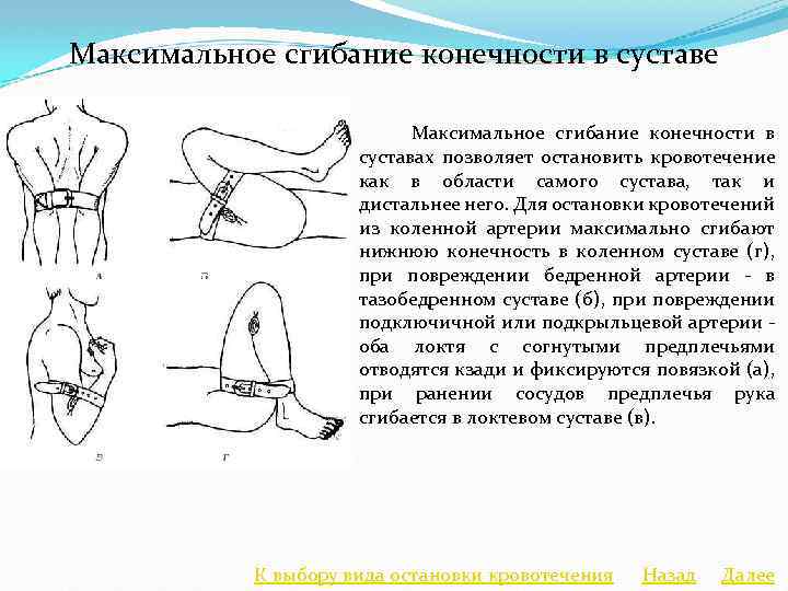 Максимальное сгибание конечности в суставе фото