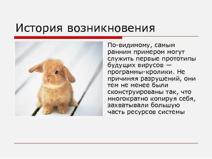 История возникновения o По-видимому, самым ранним примером могут служить первые прототипы будущих вирусов —