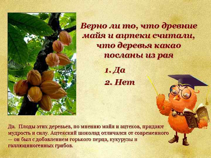 Верно ли то, что древние майя и ацтеки считали, что деревья какао посланы из