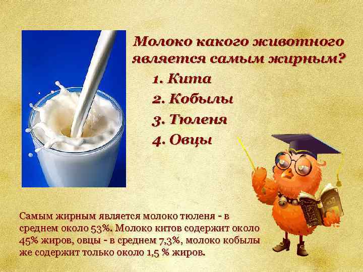 Молоко какого животного является самым жирным? 1. Кита 2. Кобылы 3. Тюленя 4. Овцы