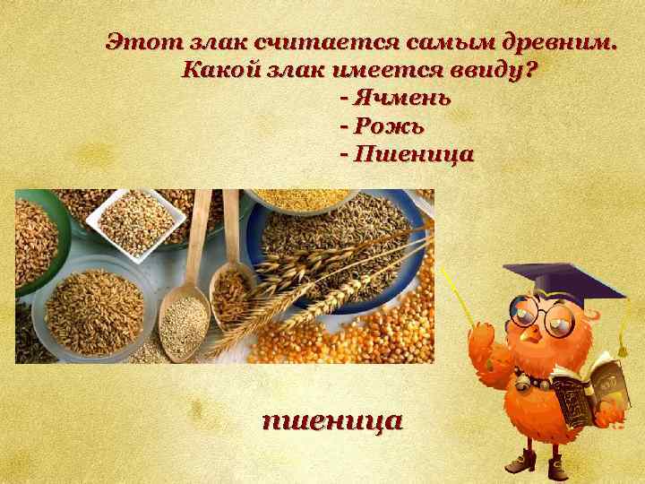 Этот злак считается самым древним. Какой злак имеется ввиду? - Ячмень - Рожь -