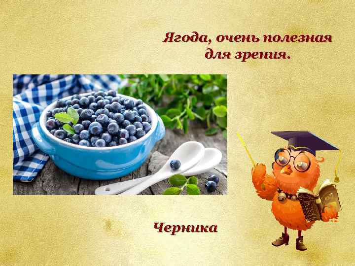 Ягода, очень полезная для зрения. Черника 