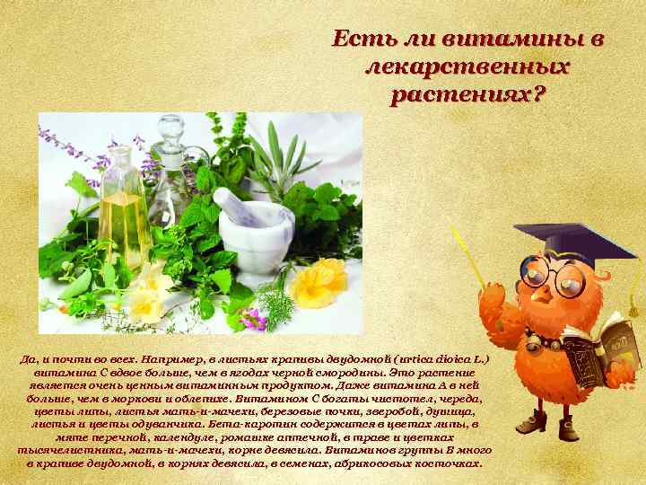 Есть ли витамины в лекарственных растениях? Да, и почти во всех. Например, в листьях