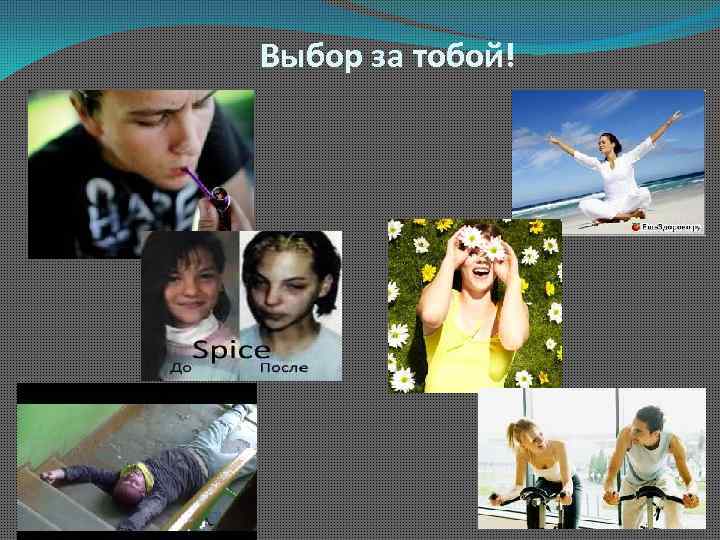 Выбор за тобой! 