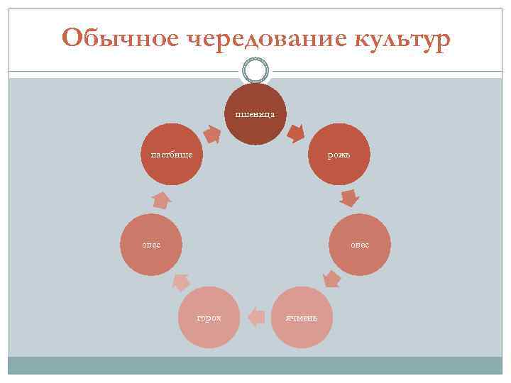 Обычное чередование культур пшеница пастбище рожь овес горох ячмень 