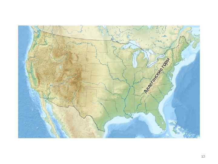 12 ие ск ле ган Ал ы гор 