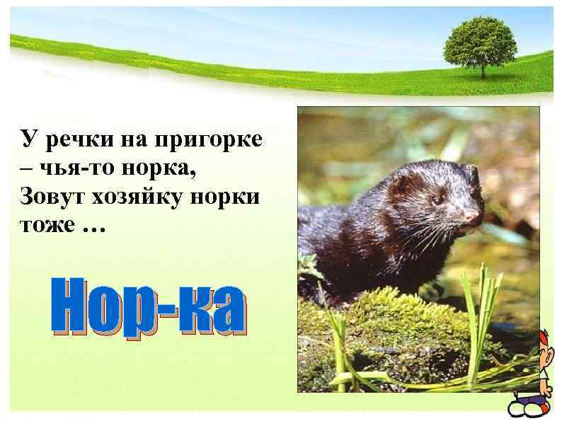 У речки на пригорке – чья-то норка, Зовут хозяйку норки тоже …. Нор-ка 