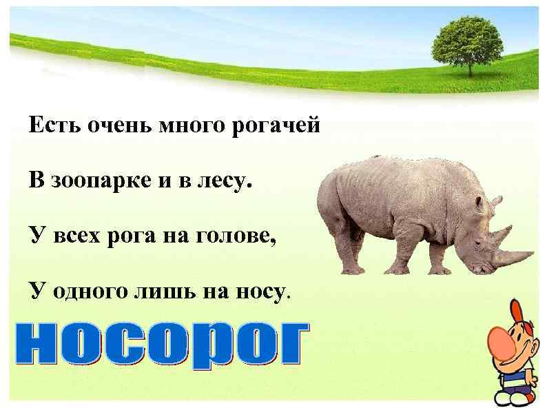 Есть очень много рогачей В зоопарке и в лесу. У всех рога на голове,