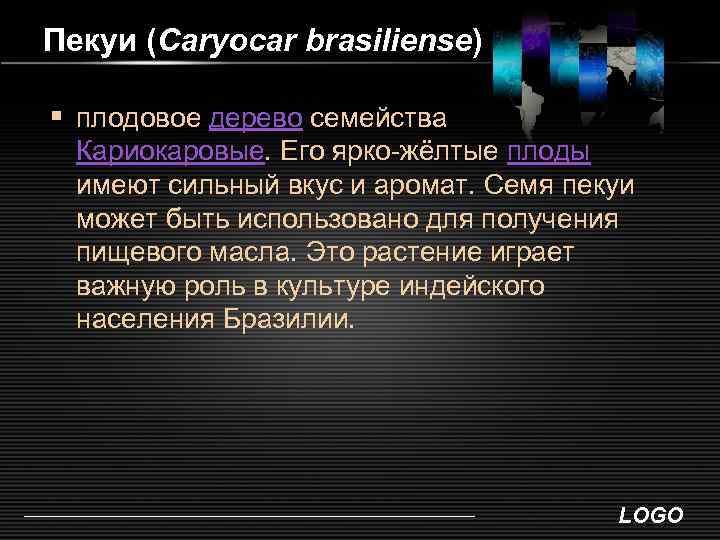 Пекуи (Caryocar brasiliense) § плодовое дерево семейства Кариокаровые. Его ярко-жёлтые плоды имеют сильный вкус