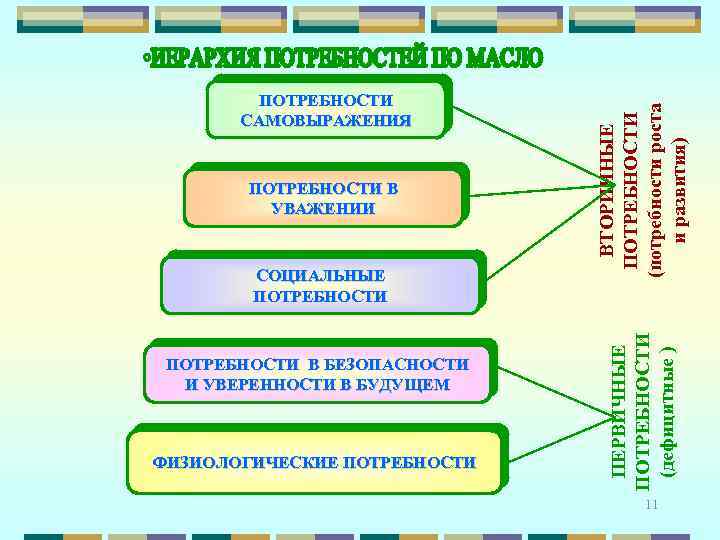 СОЦИАЛЬНЫЕ ПОТРЕБНОСТИ В БЕЗОПАСНОСТИ И УВЕРЕННОСТИ В БУДУЩЕМ ФИЗИОЛОГИЧЕСКИЕ ПОТРЕБНОСТИ ВТОРИЧНЫЕ ПОТРЕБНОСТИ (потребности роста