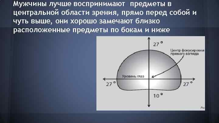 Мужчины лучше воспринимают предметы в центральной области зрения, прямо перед собой и чуть выше,