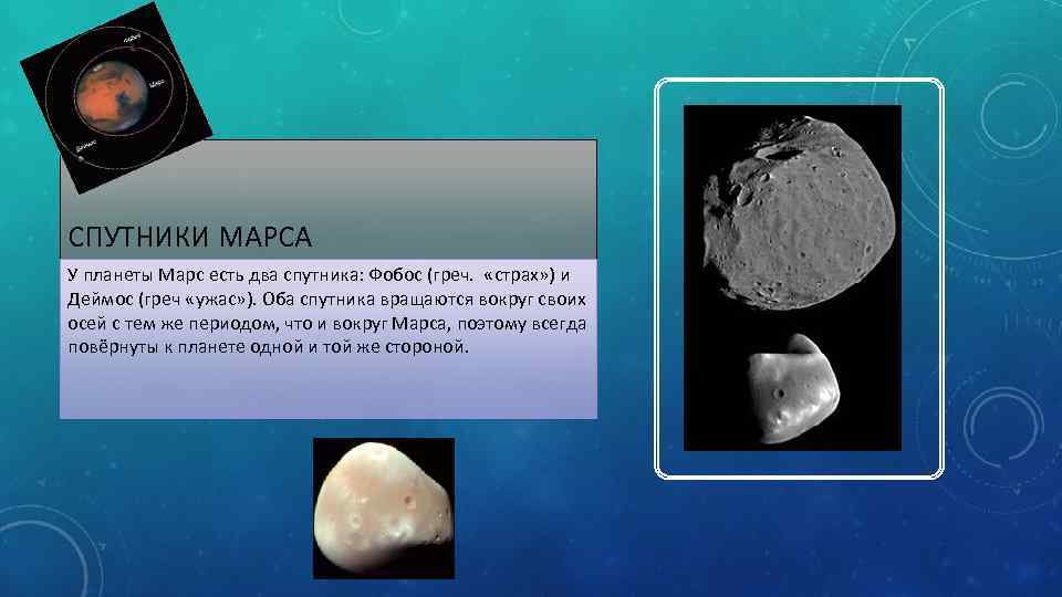 СПУТНИКИ МАРСА У планеты Марс есть два спутника: Фобос (греч. «страх» ) и Деймос