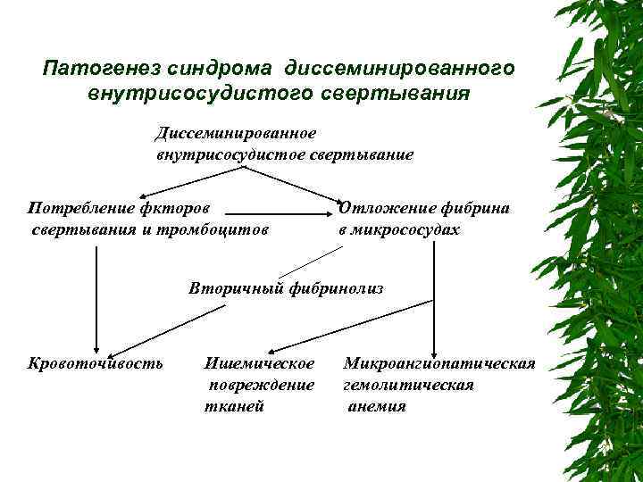 Патогенез синдрома диссеминированного внутрисосудистого свертывания Диссеминированное внутрисосудистое свертывание Потребление фкторов свертывания и тромбоцитов Отложение