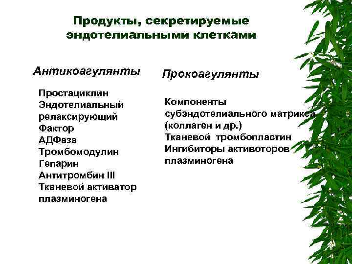 Продукты, секретируемые эндотелиальными клетками Антикоагулянты Простациклин Эндотелиальный релаксирующий Фактор АДФаза Тромбомодулин Гепарин Антитромбин III