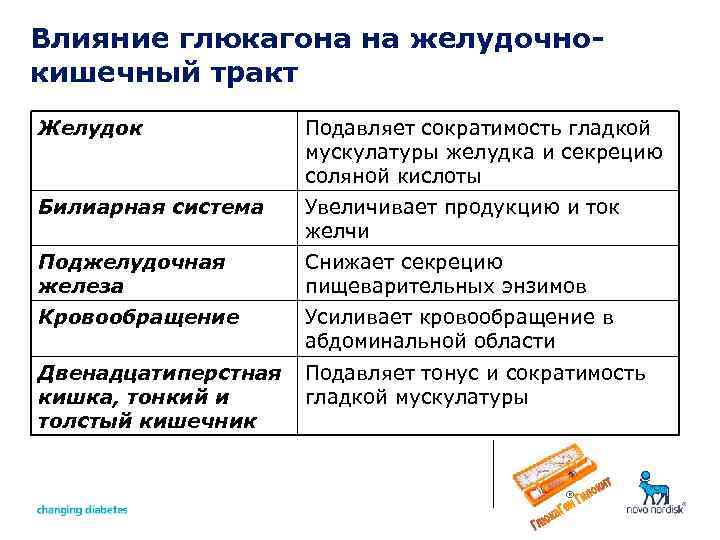 Влияние глюкагона на желудочнокишечный тракт Желудок Подавляет сократимость гладкой мускулатуры желудка и секрецию соляной