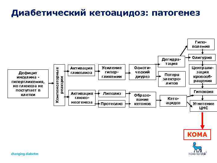 Диабетический кетоацидоз: патогенез Дефицит инсулина гипергликемия, но глюкоза не поступает в клетки Компенсаторные реакции