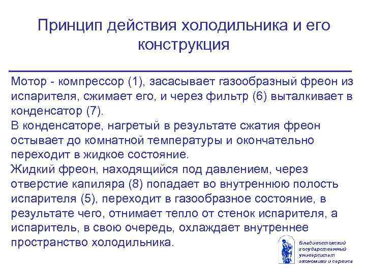 Принцип действия холодильника и его конструкция Мотор - компрессор (1), засасывает газообразный фреон из