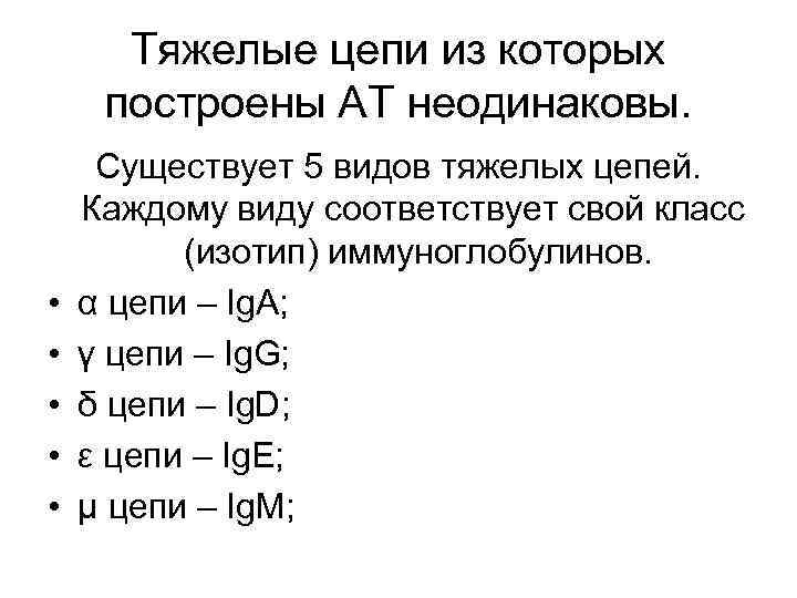 Тяжелые цепи из которых построены АТ неодинаковы. • • • Существует 5 видов тяжелых