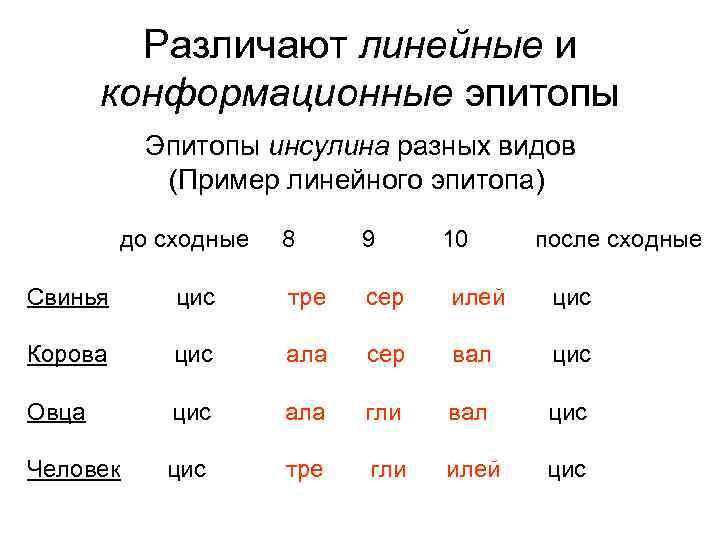 Различают линейные и конформационные эпитопы Эпитопы инсулина разных видов (Пример линейного эпитопа) до сходные