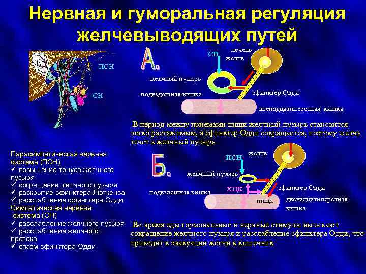 Какие картины возникают в вашем воображении после прочтения первой части стихотворения симонова