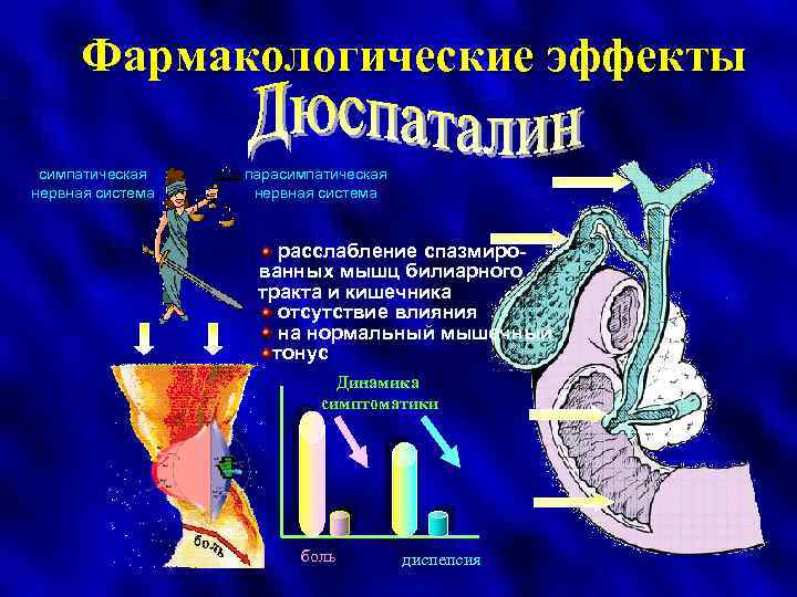 Фармакологические эффекты симпатическая нервная система парасимпатическая нервная система расслабление спазмированных мышц билиарного тракта и