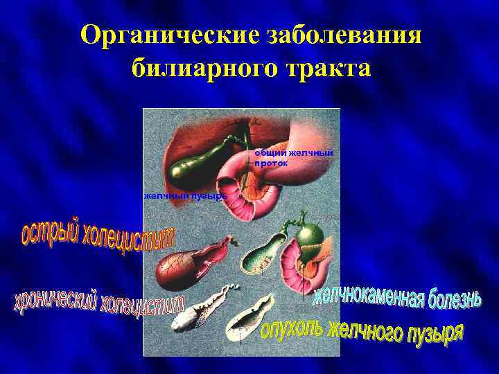 Органические заболевания билиарного тракта общий желчный проток желчный пузырь 