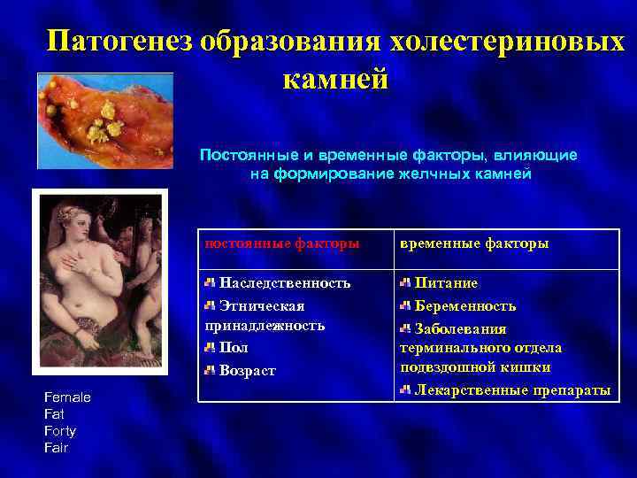 Патогенез образования холестериновых камней Постоянные и временные факторы, влияющие на формирование желчных камней постоянные